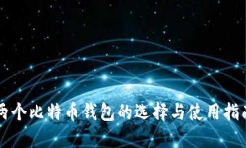 两个比特币钱包的选择与使用指南