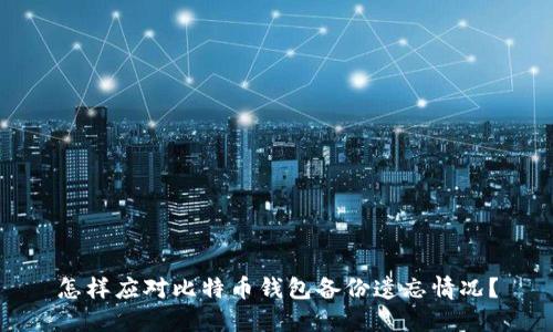怎样应对比特币钱包备份遗忘情况？