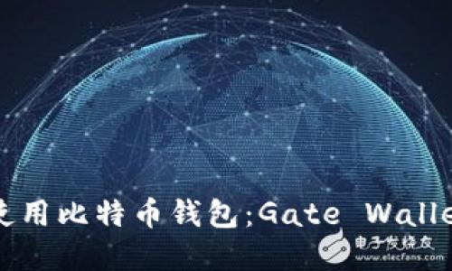 如何选择和使用比特币钱包：Gate Wallet全方位指南