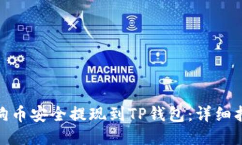 如何将狗狗币安全提现到TP钱包：详细指南与步骤