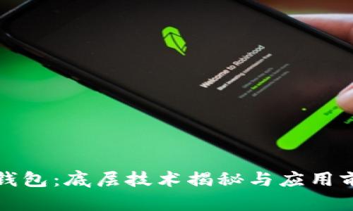 TP钱包：底层技术揭秘与应用前景