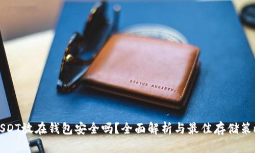 USDT放在钱包安全吗？全面解析与最佳存储策略