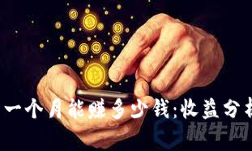 探讨T P钱包一个月能赚多少钱：收益分析与投资策略