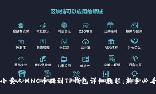 小黄人MNC币提到TP钱包详细教程：新手必看