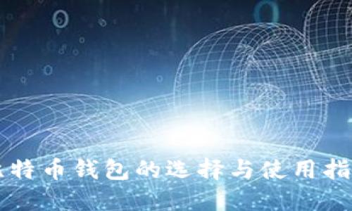 比特币钱包的选择与使用指南