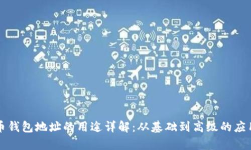 比特币钱包地址的用途详解：从基础到高级的应用解析