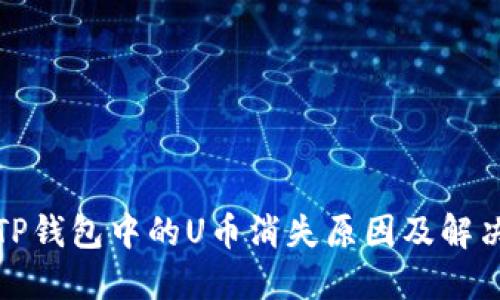 探究TP钱包中的U币消失原因及解决方案