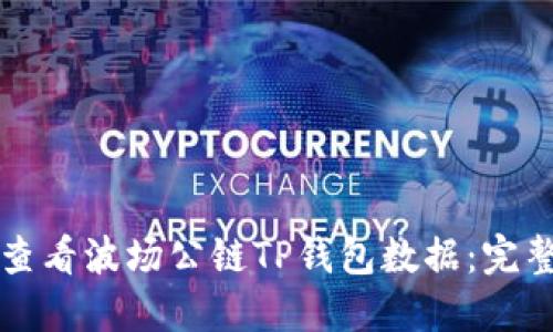 如何查看波场公链TP钱包数据：完整指南