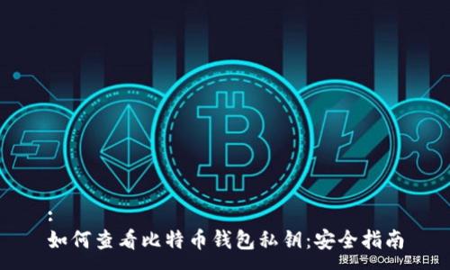 :
如何查看比特币钱包私钥：安全指南