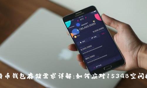 比特币钱包存储需求详解：如何应对153GB空间挑战