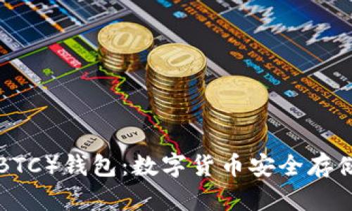 新比特币（NBTC）钱包：数字货币安全存储的完美选择