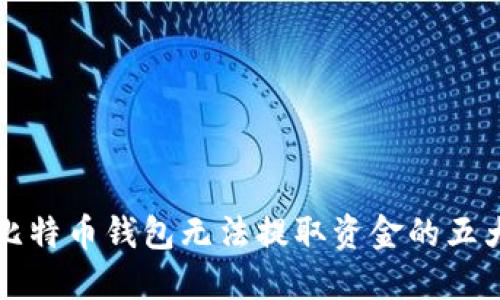 解决比特币钱包无法提取资金的五大方案