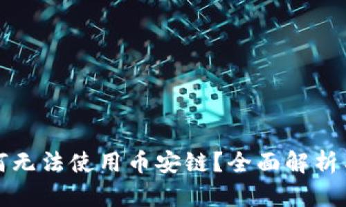 TP钱包为何无法使用币安链？全面解析与解决方案