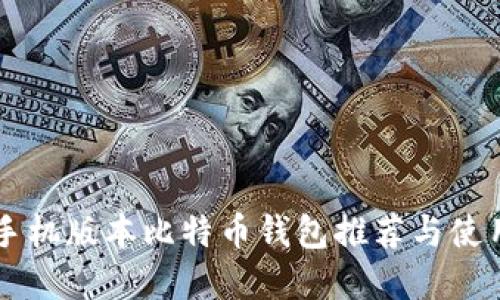 苹果手机版本比特币钱包推荐与使用指南