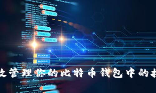 如何有效管理你的比特币钱包中的接收款项