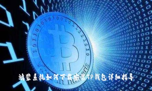 鸿蒙系统如何下载安装TP钱包详细指导