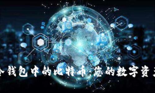 如何发现冷钱包中的比特币：您的数字资产管理指南