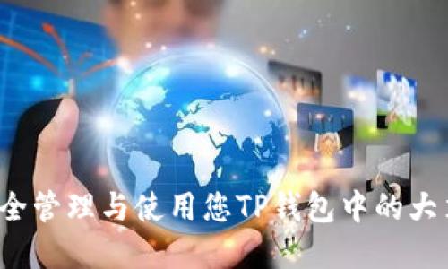如何安全管理与使用您TP钱包中的大笔资金？