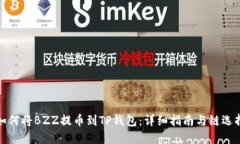 如何将BZZ提币到TP钱包：详细指南与链选择