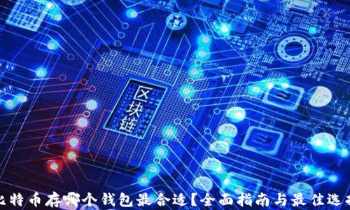 
比特币存哪个钱包最合适？全面指南与最佳选择