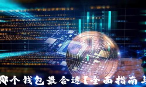 
比特币存哪个钱包最合适？全面指南与最佳选择
