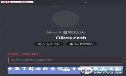 全面了解比特币钱包主地址及其功能