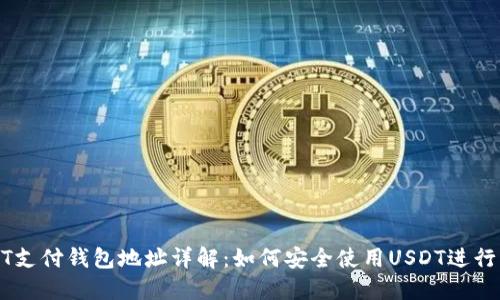 USDT支付钱包地址详解：如何安全使用USDT进行支付