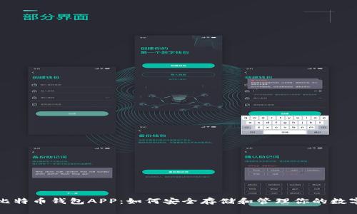 揭秘比特币钱包APP：如何安全存储和管理你的数字资产