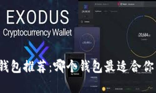 比特币存储钱包推荐：哪个钱包最适合你的投资需求？