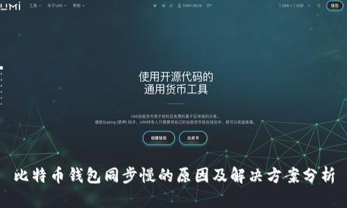 比特币钱包同步慢的原因及解决方案分析