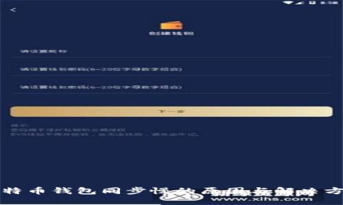 比特币钱包同步慢的原因与解决方案
