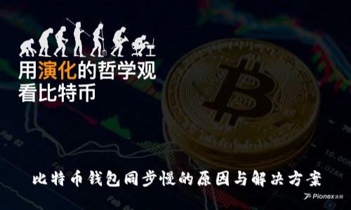比特币钱包同步慢的原因与解决方案