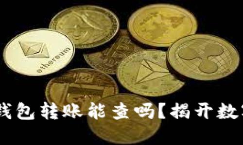 ### USDT私人钱包转账能查吗？揭开数字货币隐私的面纱