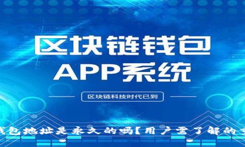 USDT 钱包地址是永久的吗？用户需了解的重要信息