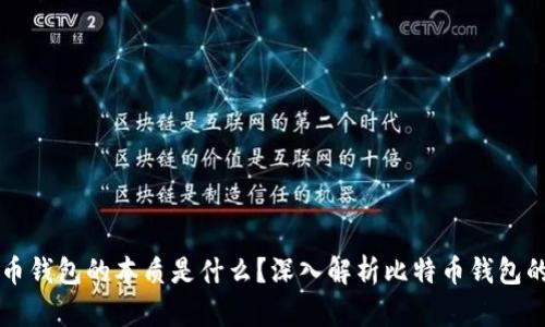 ### 比特币钱包的本质是什么？深入解析比特币钱包的功能与类型