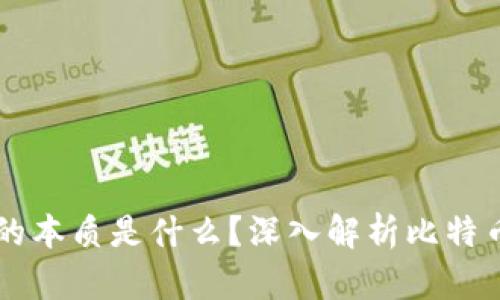### 比特币钱包的本质是什么？深入解析比特币钱包的功能与类型