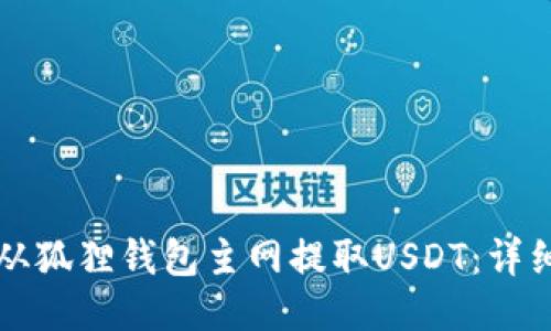 如何从狐狸钱包主网提取USDT：详细指南