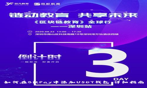 如何在BitPay中添加USDT钱包：详细指南