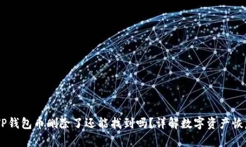 ## TP钱包币删除了还能找到吗？详解数字资产恢复方法