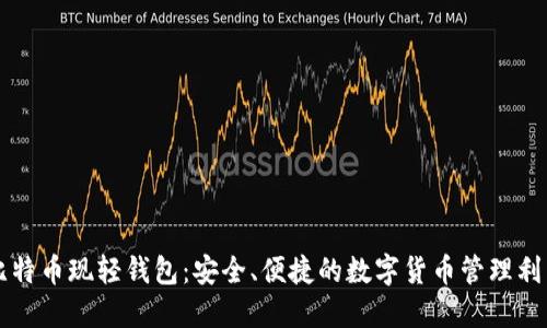 比特币现轻钱包：安全、便捷的数字货币管理利器