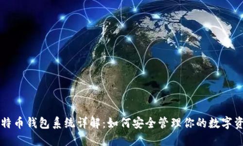 比特币钱包系统详解：如何安全管理你的数字资产