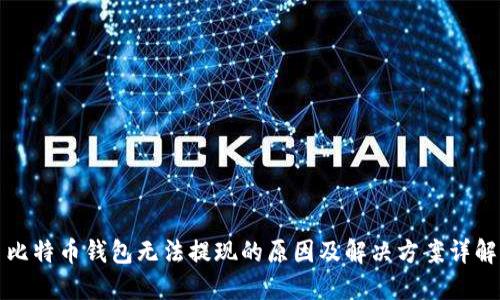 比特币钱包无法提现的原因及解决方案详解