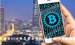 全面解析BV比特愿景币钱包：安全、操作与投资指