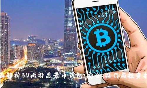 全面解析BV比特愿景币钱包：安全、操作与投资指南