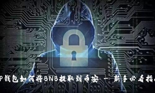 TP钱包如何将BNB提取到币安 - 新手必看指南