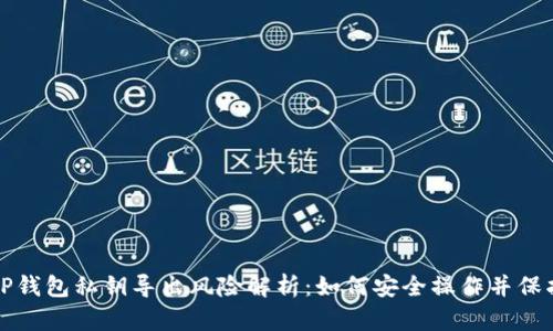 优质TP钱包私钥导出风险解析：如何安全操作并保护资产