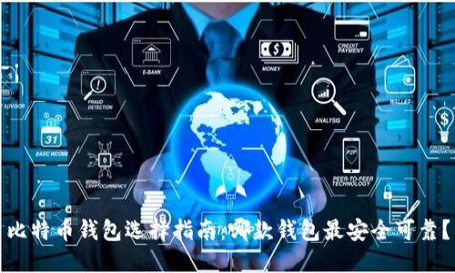 比特币钱包选择指南：哪款钱包最安全可靠？