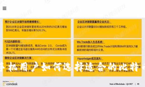 苹果手机用户如何选择适合的比特币钱包