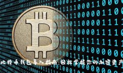 比特币钱包导入指南：轻松掌握你的加密资产