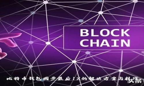 比特币钱包同步最后1%的解决方案与技巧